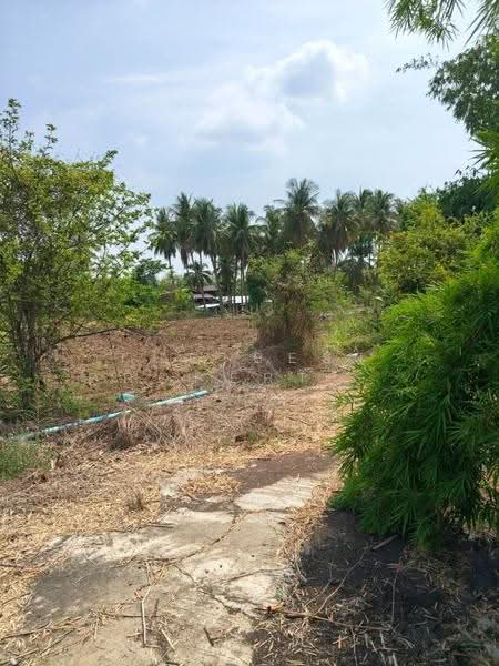 ที่ดินตาคลี นครสวรรค์, Nakhon Sawan, Phrom Nimitr, Takhli, Nakhon Sawan, , 1,636 sqm, Land For Sale, by The Best Property โย, 500515745 - DDproperty.com