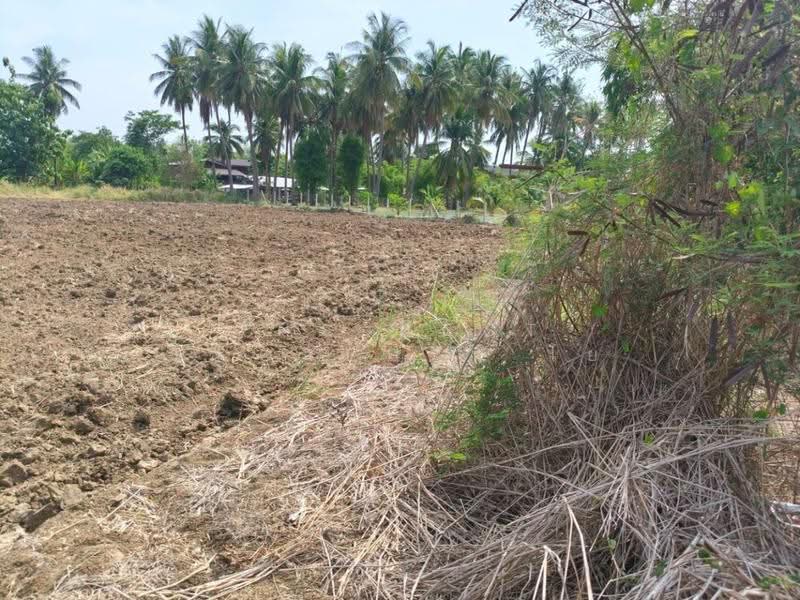 ที่ดินตาคลี นครสวรรค์, Nakhon Sawan, Phrom Nimitr, Takhli, Nakhon Sawan, , 1,636 sqm, Land For Sale, by The Best Property โย, 500515745 - DDproperty.com