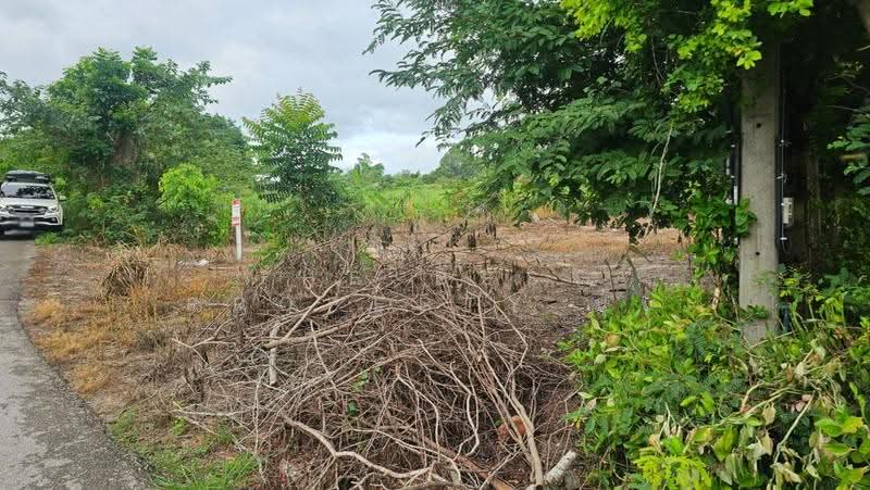 ที่ดินสวนผึ้ง ราชบุรี, ราชบุรี, ท่าเคย, สวนผึ้ง, ราชบุรี, 3,484 ตร.ม., ที่ดิน ขาย, โดย The Best Property นุ๊บ, 500515759 - DDproperty.com