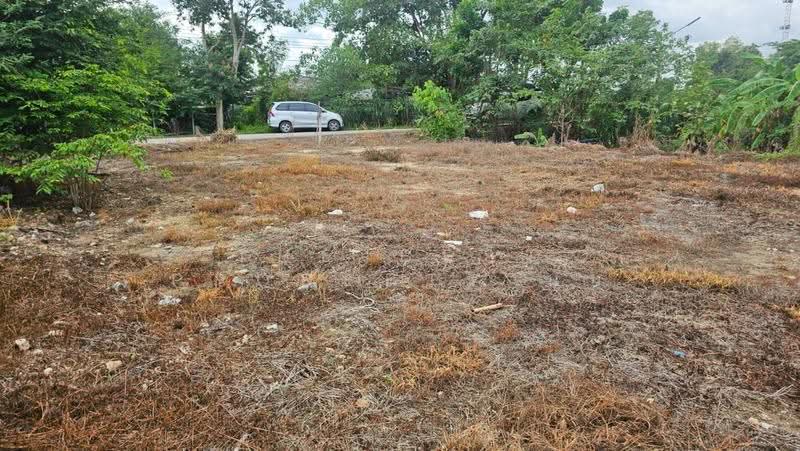 ที่ดินสวนผึ้ง ราชบุรี, Ratchaburi, Tha Khoei, Suan Phung, Ratchaburi, , 3,484 sqm, Land For Sale, by The Best Property นุ๊บ, 500515759 - DDproperty.com