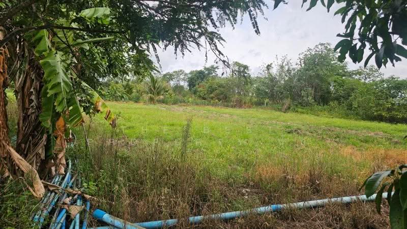 ที่ดินสวนผึ้ง ราชบุรี, ราชบุรี, ท่าเคย, สวนผึ้ง, ราชบุรี, 3,484 ตร.ม., ที่ดิน ขาย, โดย The Best Property นุ๊บ, 500515759 - DDproperty.com