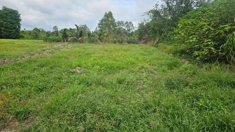ที่ดินสวนผึ้ง ราชบุรี, Ratchaburi, Tha Khoei, Suan Phung, Ratchaburi, , 3,484 sqm, Land For Sale, by The Best Property นุ๊บ, 500515759 - DDproperty.com