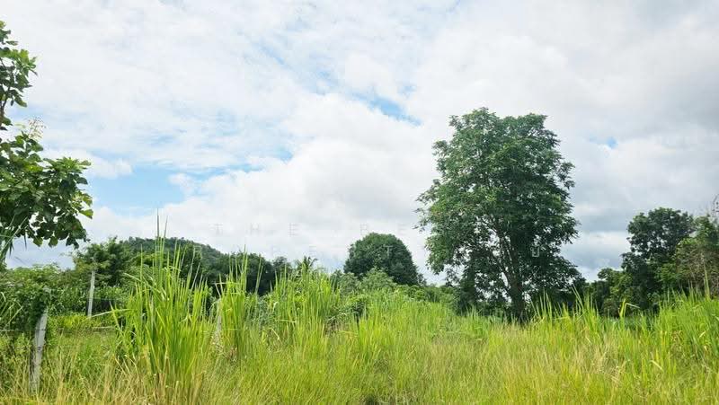 ที่ดินสวนผึ้ง ราชบุรี, Ratchaburi, Tha Khoei, Suan Phung, Ratchaburi, , 7,092 sqm, Land For Sale, by The Best Property นุ๊บ, 500515785 - DDproperty.com