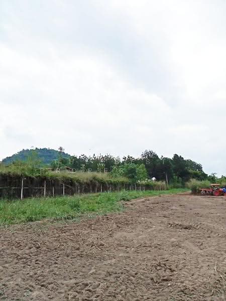 ที่ดินสวนผึ้ง ราชบุรี, Ratchaburi, Tha Khoei, Suan Phung, Ratchaburi, , 7,092 sqm, Land For Sale, by The Best Property นุ๊บ, 500515785 - DDproperty.com