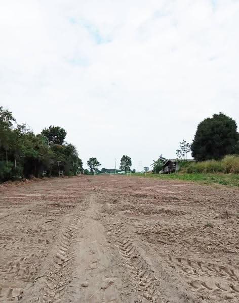 ที่ดินสวนผึ้ง ราชบุรี, Ratchaburi, Tha Khoei, Suan Phung, Ratchaburi, , 7,092 sqm, Land For Sale, by The Best Property นุ๊บ, 500515785 - DDproperty.com