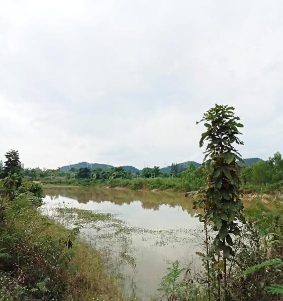 ที่ดินสวนผึ้ง ราชบุรี, Ratchaburi, Tha Khoei, Suan Phung, Ratchaburi, , 7,092 sqm, Land For Sale, by The Best Property นุ๊บ, 500515785 - DDproperty.com
