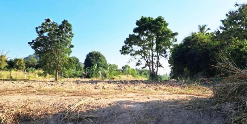 ที่ดินสวนผึ้ง ราชบุรี, Ratchaburi, Tha Khoei, Suan Phung, Ratchaburi, , 7,092 sqm, Land For Sale, by The Best Property นุ๊บ, 500515785 - DDproperty.com