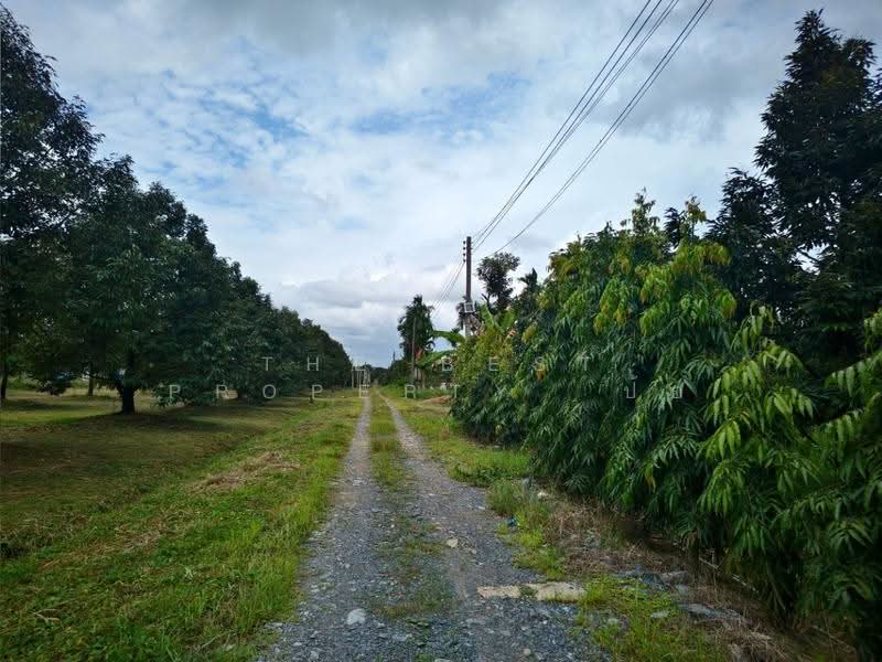 บ้านเดี่ยวพร้อมที่ดินมะขาม จันทบุรี, จันทบุรี, ปัถวี, มะขาม, จันทบุรี, 722 ตร.ม., บ้านเดี่ยว ขาย, โดย The Best Property ป้อ, 500515838 - DDproperty.com