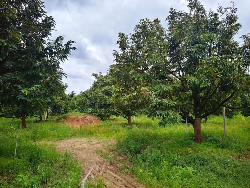 บ้านเดี่ยวพร้อมที่ดินมะขาม จันทบุรี, จันทบุรี, ปัถวี, มะขาม, จันทบุรี, 722 ตร.ม., บ้านเดี่ยว ขาย, โดย The Best Property ป้อ, 500515838 - DDproperty.com