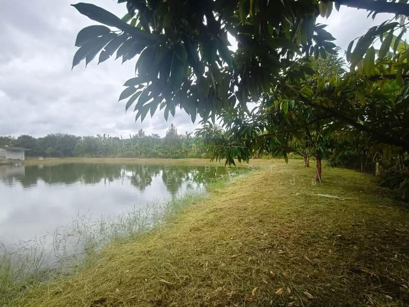บ้านเดี่ยวพร้อมที่ดินมะขาม จันทบุรี, จันทบุรี, ปัถวี, มะขาม, จันทบุรี, 722 ตร.ม., บ้านเดี่ยว ขาย, โดย The Best Property ป้อ, 500515838 - DDproperty.com