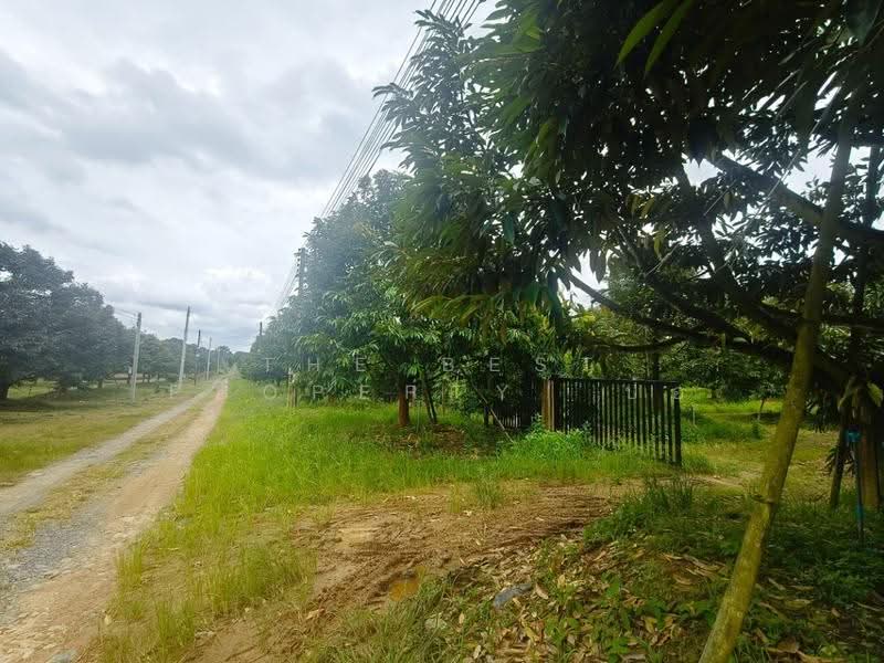 บ้านเดี่ยวพร้อมที่ดินมะขาม จันทบุรี, จันทบุรี, ปัถวี, มะขาม, จันทบุรี, 722 ตร.ม., บ้านเดี่ยว ขาย, โดย The Best Property ป้อ, 500515838 - DDproperty.com