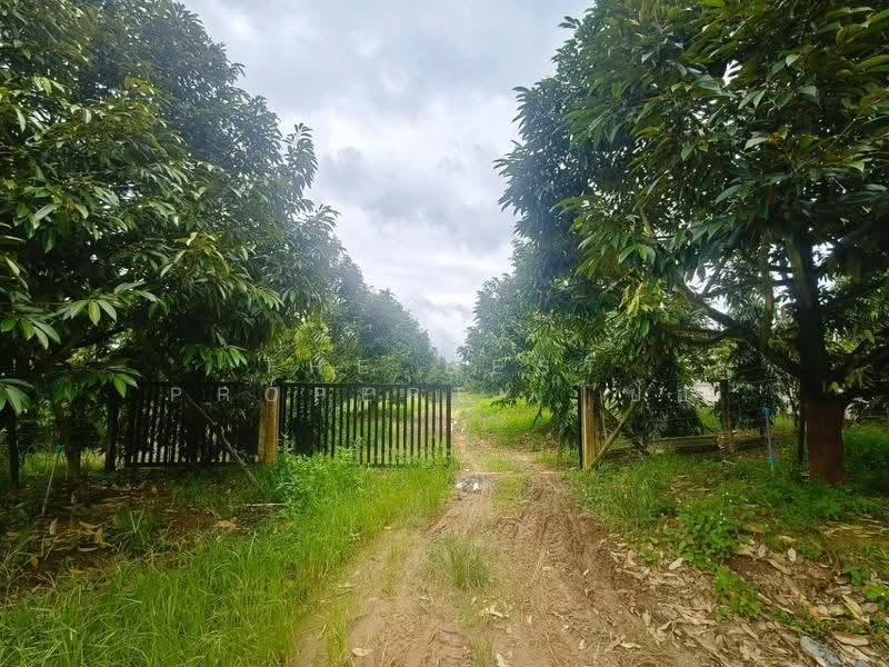 บ้านเดี่ยวพร้อมที่ดินมะขาม จันทบุรี, จันทบุรี, ปัถวี, มะขาม, จันทบุรี, 722 ตร.ม., บ้านเดี่ยว ขาย, โดย The Best Property ป้อ, 500515838 - DDproperty.com