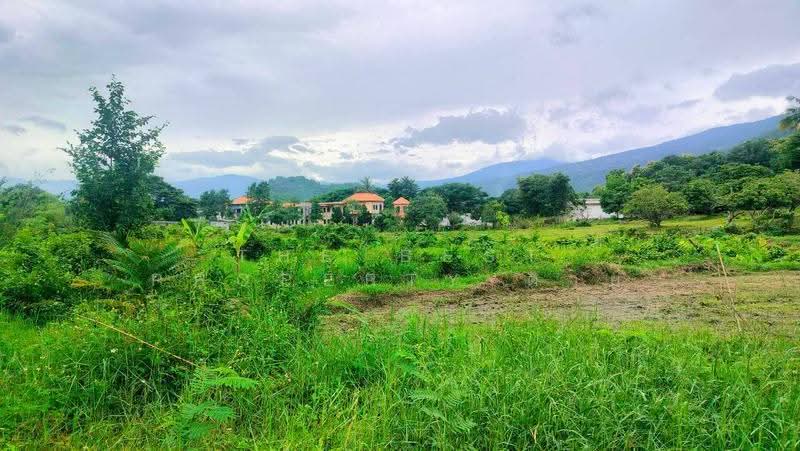 ที่ดินจอมทอง เชียงใหม่, เชียงใหม่, บ้านหลวง, จอมทอง, เชียงใหม่, 18,704 ตร.ม., ที่ดิน ขาย, โดย The Best Property ต่าย, 500515951 - DDproperty.com