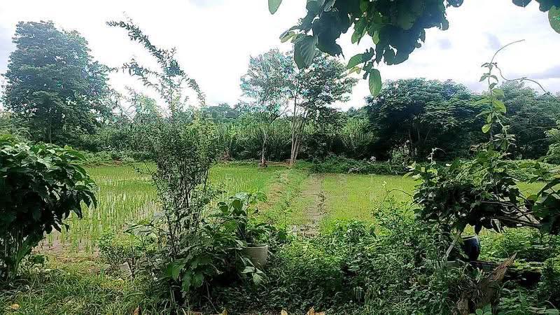 ที่ดินจอมทอง เชียงใหม่, เชียงใหม่, บ้านหลวง, จอมทอง, เชียงใหม่, 18,704 ตร.ม., ที่ดิน ขาย, โดย The Best Property ต่าย, 500515951 - DDproperty.com