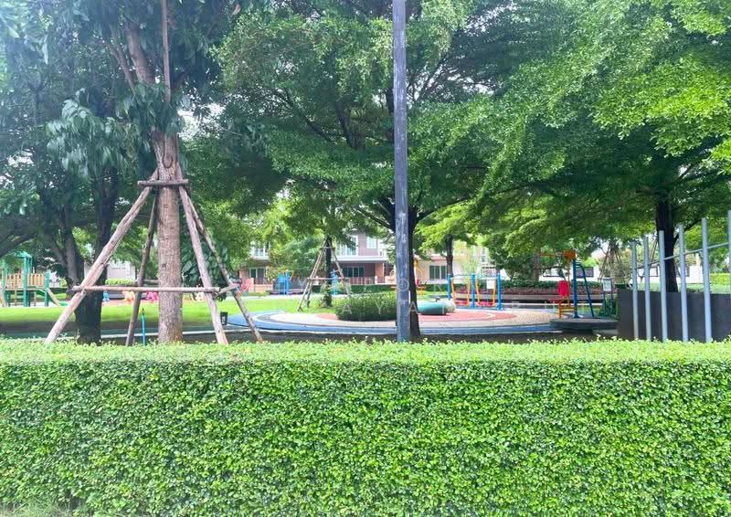 Suetrong The Oxy Rangsit Klong 6, Pathum Thani, Rangsit-Nakhon Nayok Road, Rangsit, Thanyaburi, Pathum Thani, 4 Bedrooms, 160 sqm, Single Detached House For Rent, by Anyaporn Srikanlayanabut, 500515955 - DDproperty.com