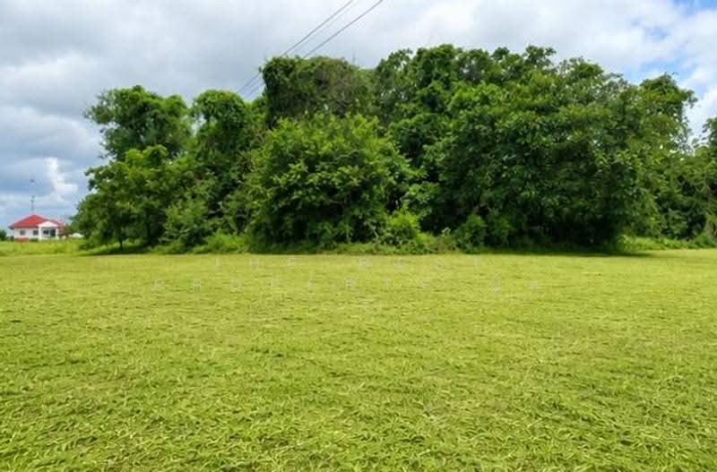 ที่ดินลับแล อุตรดิตถ์, Uttaradit, Chai Chumphon, Laplae, Uttaradit, , 400 sqm, Land For Sale, by The Best Property นิด, 500515956 - DDproperty.com