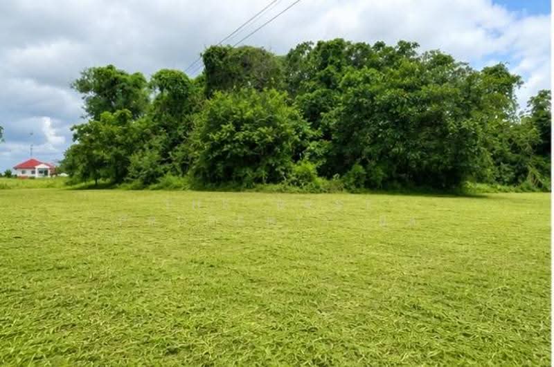 ที่ดินลับแล อุตรดิตถ์, uttaradit, Chai Chumphon, Laplae, Uttaradit, , 400 sqm, Land For Sale, by The Best Property นิด, 500515956 - DDproperty.com
