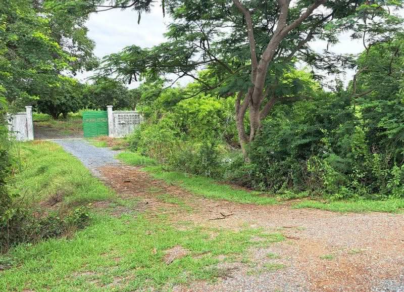 ที่ดินสองพี่น้อง สุพรรณบุรี, Suphan Buri, Sri Samran, Song Phi Nong, Suphan Buri, , 34,875 sqm, Land For Sale, by The Best Property ลี, 500515961 - DDproperty.com