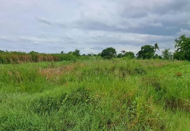 ที่ดินสองพี่น้อง สุพรรณบุรี, Suphan Buri, Sri Samran, Song Phi Nong, Suphan Buri, , 34,875 sqm, Land For Sale, by The Best Property ลี, 500515961 - DDproperty.com