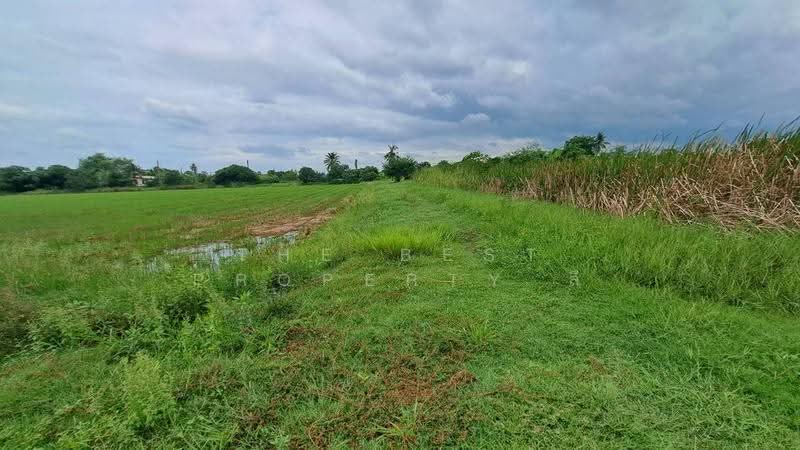 ที่ดินสองพี่น้อง สุพรรณบุรี, Suphan Buri, Sri Samran, Song Phi Nong, Suphan Buri, , 34,875 sqm, Land For Sale, by The Best Property ลี, 500515961 - DDproperty.com