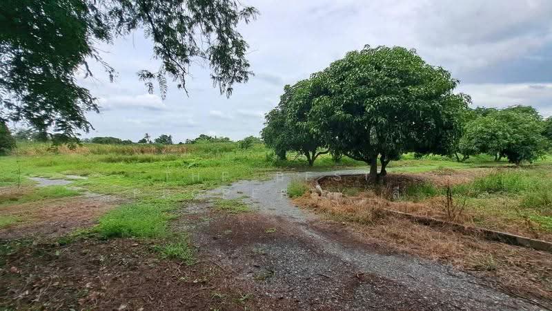 ที่ดินสองพี่น้อง สุพรรณบุรี, Suphan Buri, Sri Samran, Song Phi Nong, Suphan Buri, , 34,875 sqm, Land For Sale, by The Best Property ลี, 500515961 - DDproperty.com