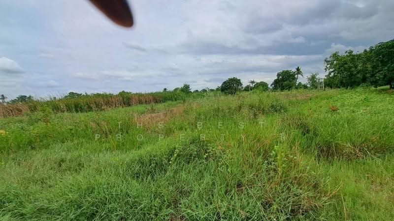 ที่ดินสองพี่น้อง สุพรรณบุรี, สุพรรณบุรี, ศรีสำราญ, สองพี่น้อง, สุพรรณบุรี, 34,875 ตร.ม., ที่ดิน ขาย, โดย The Best Property ลี, 500515961 - DDproperty.com