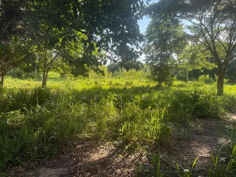 ที่ดินสันทราย เชียงใหม่, เชียงใหม่, หนองแหย่ง, สันทราย, เชียงใหม่, 555 ตร.ม., ที่ดิน ขาย, โดย The Best Property บอย, 500515974 - DDproperty.com