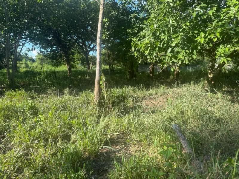 ที่ดินสันทราย เชียงใหม่, Chiang Mai, Nong Yaeng, San Sai, Chiang Mai, , 555 sqm, Land For Sale, by The Best Property บอย, 500515974 - DDproperty.com