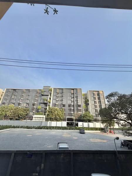 iCondo Sukhumvit 105, Bangkok, 20 Soi Lasalle 19,  Sukhumvit 105 Road, Bang Na, Bangkok, 1 Bedroom, 38 sqm, Condo For Sale, by AREA66 Real Estate Co.,Ltd, 500516098 - DDproperty.com