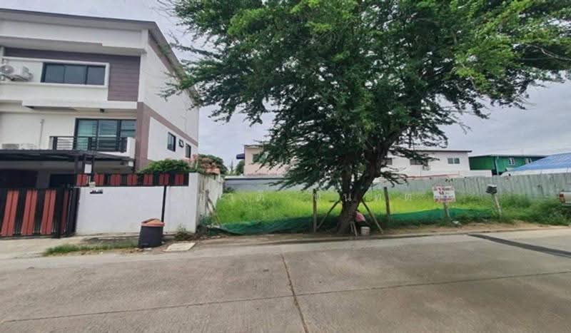 Lat Pla Khao 72, Yaek 8, Bangkok, Anusaowari, Bang Khen, Bangkok, , 208 sqm, Land For Sale, by ชนะชาติ นนท์ตา, 500516113 - DDproperty.com