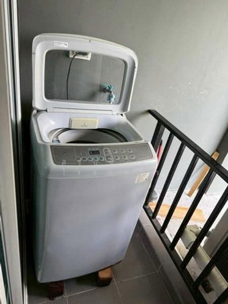 Regent Home Sukhumvit 97/1, Bangkok, Soi Sukhumvit 97/1, Bang Chak, Phra Khanong, Bangkok, 1 Bedroom, 30 sqm, Condo For Rent, by ศิรินทร์ธร โรจนบวร, 500516161 - DDproperty.com