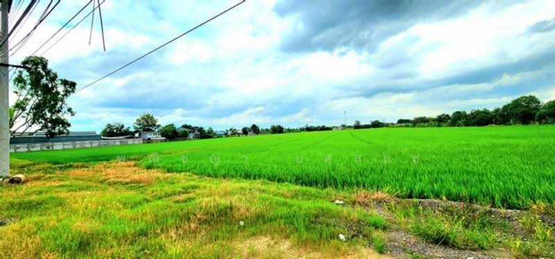 ไม่พบโครงการ, Pathum Thani, , Rangsit, Thanyaburi, Pathum Thani, , 64,980 sqm, Land For Sale, by Phanitchaya Yossala, 500516183 - DDproperty.com