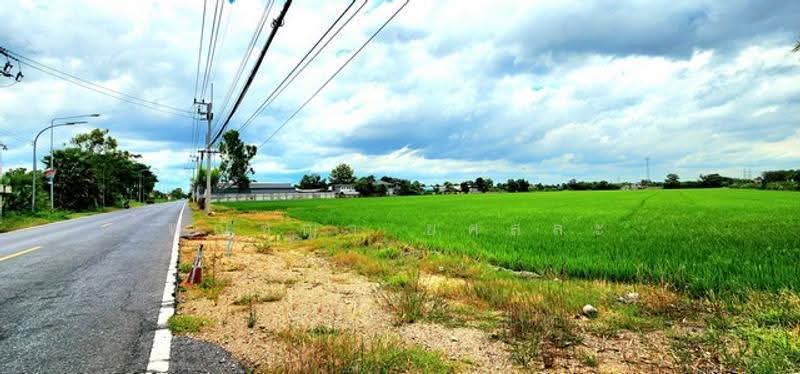 ไม่พบโครงการ, Pathum Thani, , Rangsit, Thanyaburi, Pathum Thani, , 64,980 sqm, Land For Sale, by Phanitchaya Yossala, 500516183 - DDproperty.com