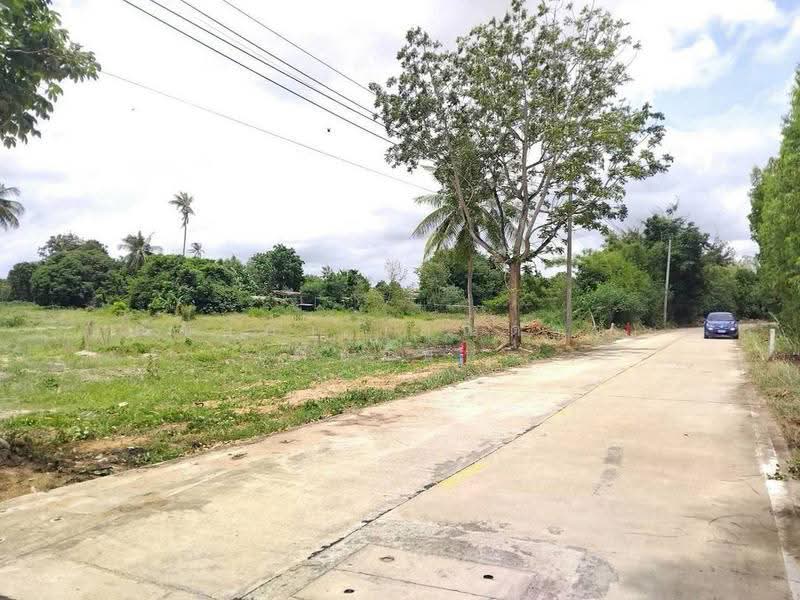 พัทยาฝั่งตะวันออก - ห้วยใหญ่ ตำบลห้วยใหญ่ อำเภอบางละมุง จังหวัดชลบุรี, ชลบุรี, ห้วยใหญ่, บางละมุง, ชลบุรี, 3,200 ตร.ม., ที่ดิน ขาย, โดย ณิชาภา (คุณดาว) เพียจันทร์, 500516234 - DDproperty.com
