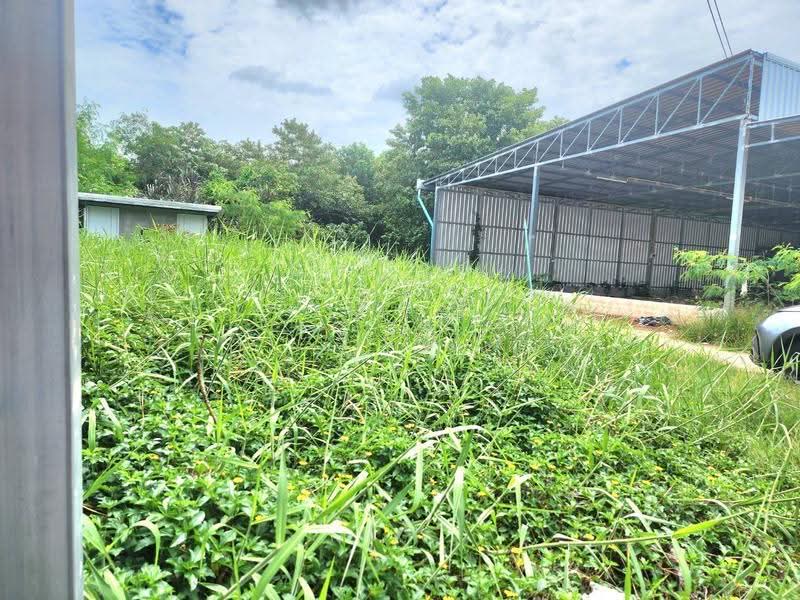 warehouse for rent, Nakhon Ratchasima, Nai Muang, Muang Nakhon Ratchasima, Nakhon Ratchasima, , 336 sqm, Warehouse/Factory For Rent, by วิรณี, 500516252 - DDproperty.com