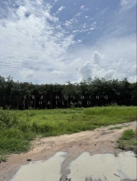 แปลงใหญ่ 2 แปลงติดกัน, ระยอง, หนองบัว, บ้านค่าย, ระยอง, 13,144 ตร.ม., ที่ดิน ขาย, โดย ERA Holding (Thailand) Co., Ltd., 500516401 - DDproperty.com