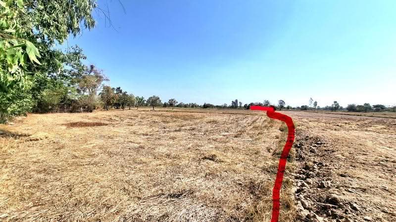 ที่ดินจังหาร ร้อยเอ็ด, Roi Et, Pa Fa, Chang Han, Roi Et, , 20,548 sqm, Land For Sale, by The Best Property ทองใบ, 500516450 - DDproperty.com