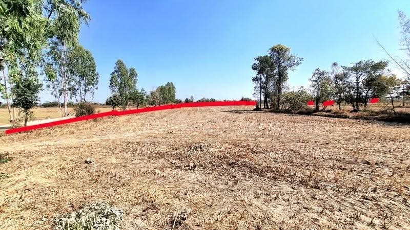 ที่ดินจังหาร ร้อยเอ็ด, Roi Et, Pa Fa, Chang Han, Roi Et, , 20,548 sqm, Land For Sale, by The Best Property ทองใบ, 500516450 - DDproperty.com