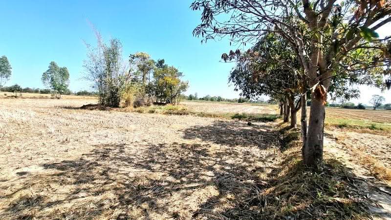 ที่ดินจังหาร ร้อยเอ็ด, ร้อยเอ็ด, ปาฝา, จังหาร, ร้อยเอ็ด, 20,548 ตร.ม., ที่ดิน ขาย, โดย The Best Property ทองใบ, 500516450 - DDproperty.com