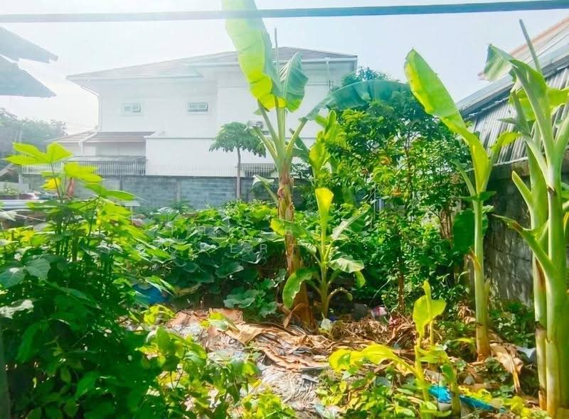 ที่ดินพระประแดง สมุทรปราการ, สมุทรปราการ, สำโรงใต้, พระประแดง, สมุทรปราการ, 180 ตร.ม., ที่ดิน ขาย, โดย The Best Property นาถ, 500516454 - DDproperty.com