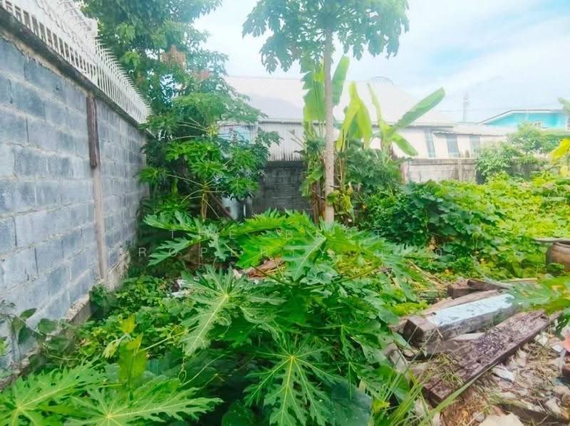 ที่ดินพระประแดง สมุทรปราการ, Samut Prakan, Sam Rong Tai, Phra Pra Daeng, Samut Prakan, , 180 sqm, Land For Sale, by The Best Property นาถ, 500516454 - DDproperty.com