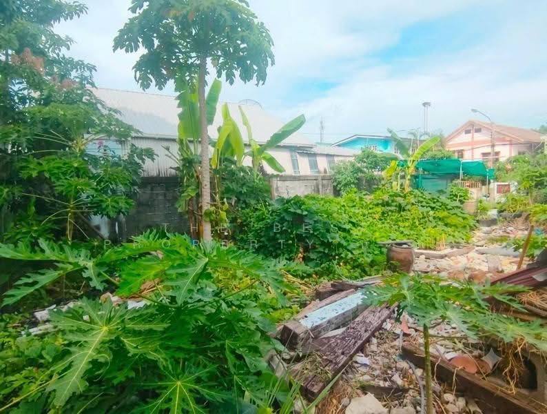 ที่ดินพระประแดง สมุทรปราการ, สมุทรปราการ, สำโรงใต้, พระประแดง, สมุทรปราการ, 180 ตร.ม., ที่ดิน ขาย, โดย The Best Property นาถ, 500516454 - DDproperty.com