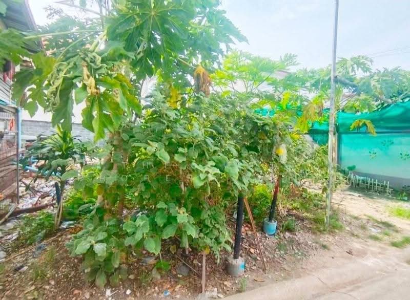 ที่ดินพระประแดง สมุทรปราการ, สมุทรปราการ, สำโรงใต้, พระประแดง, สมุทรปราการ, 180 ตร.ม., ที่ดิน ขาย, โดย The Best Property นาถ, 500516454 - DDproperty.com