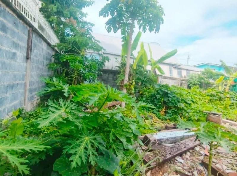 ที่ดินพระประแดง สมุทรปราการ, Samut Prakan, Sam Rong Tai, Phra Pra Daeng, Samut Prakan, , 180 sqm, Land For Sale, by The Best Property นาถ, 500516454 - DDproperty.com
