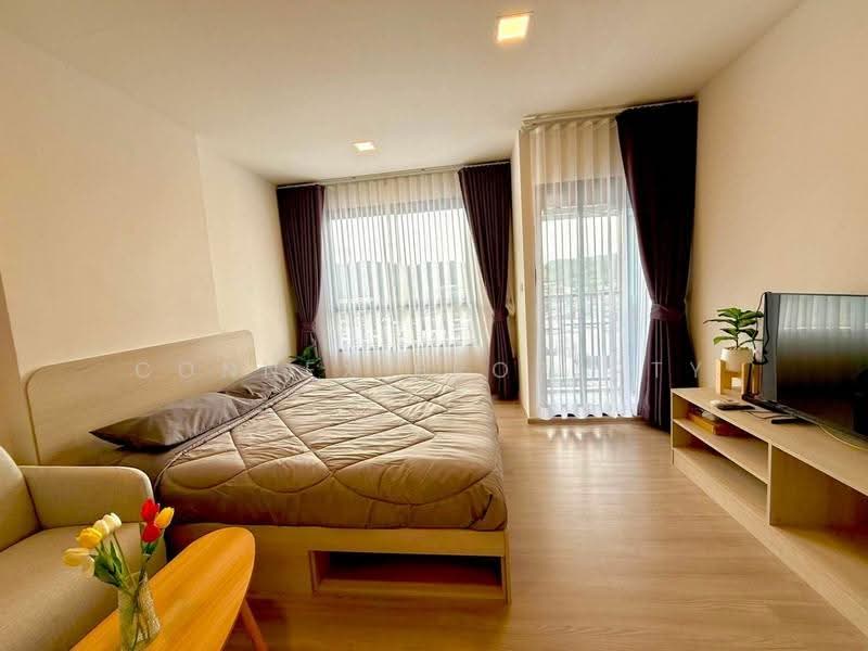 DCondo Reef, Phuket, 78 Soi Dara, Kathu, Phuket, 1 Bedroom, 24 sqm, Condo For Rent, by Connex Property, 500516458 - DDproperty.com