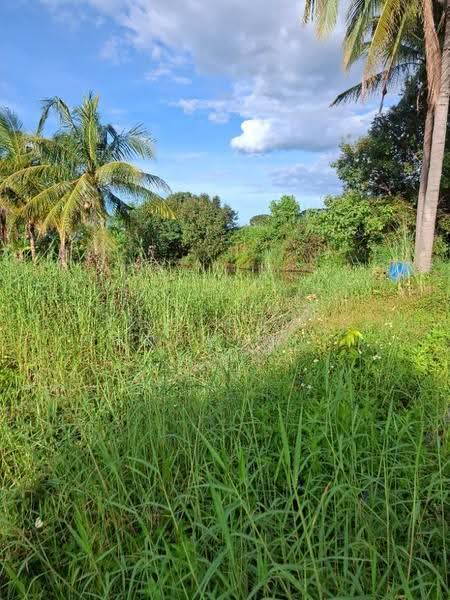 ที่ดินเวียงเชียงรุ้ง เชียงราย, Chiang Rai, Thung Ko, Wieng Chiang Rung, Chiang Rai, , 31,004 sqm, Land For Sale, by The Best Property ไนล์, 500516473 - DDproperty.com