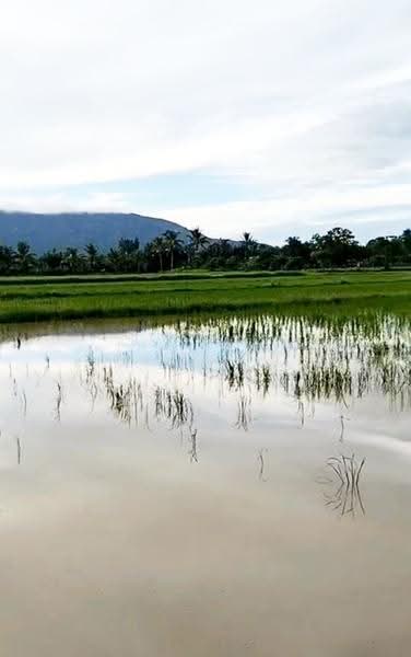 ที่ดินเวียงเชียงรุ้ง เชียงราย, Chiang Rai, Thung Ko, Wieng Chiang Rung, Chiang Rai, , 31,004 sqm, Land For Sale, by The Best Property ไนล์, 500516473 - DDproperty.com