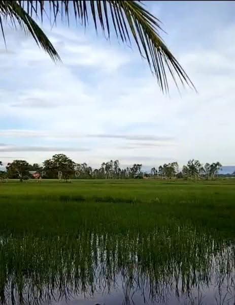 ที่ดินเวียงเชียงรุ้ง เชียงราย, Chiang Rai, Thung Ko, Wieng Chiang Rung, Chiang Rai, , 31,004 sqm, Land For Sale, by The Best Property ไนล์, 500516473 - DDproperty.com