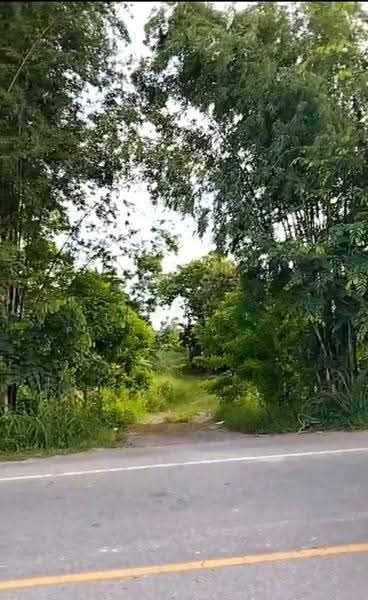 ที่ดินเวียงเชียงรุ้ง เชียงราย, เชียงราย, ทุ่งก่อ, เวียงเชียงรุ้ง, เชียงราย, 31,004 ตร.ม., ที่ดิน ขาย, โดย The Best Property ไนล์, 500516473 - DDproperty.com