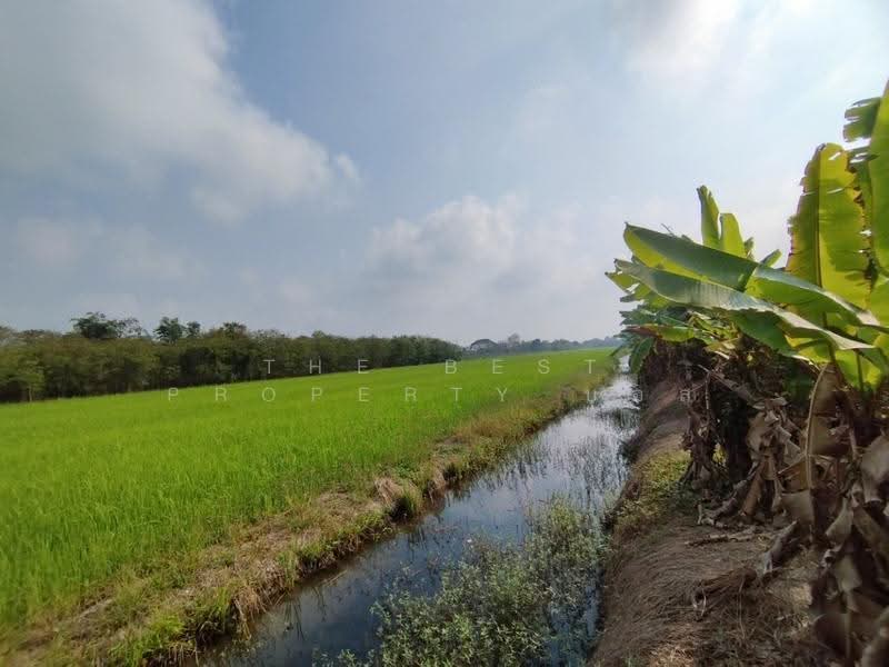 ที่ดินหนองเสือ ปทุมธานี, ปทุมธานี, บึงบา, หนองเสือ, ปทุมธานี, 1,600 ตร.ม., ที่ดิน ขาย, โดย The Best Property บอส, 500516480 - DDproperty.com